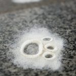 Artistic composition of flour paw print on granite. Evokes curiosity and creativity.